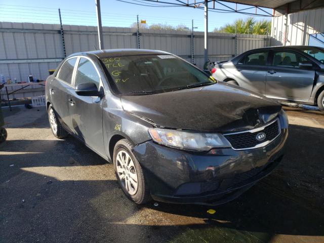 KIA FORTE EX 2013 knafu4a28d5735319