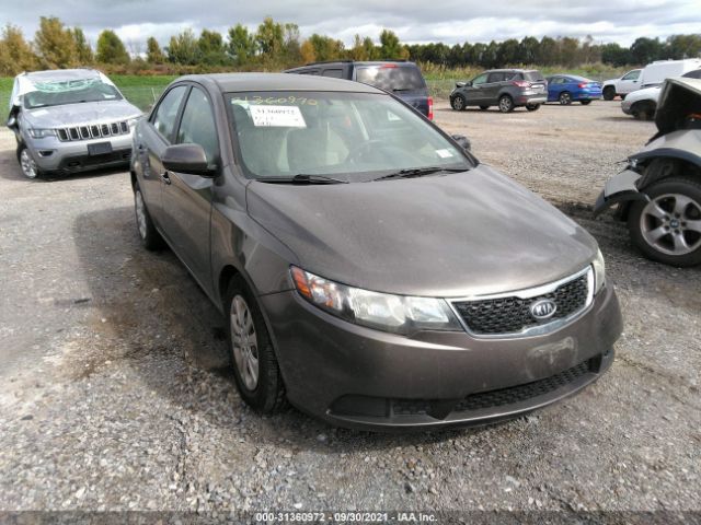 KIA FORTE 2013 knafu4a28d5735496