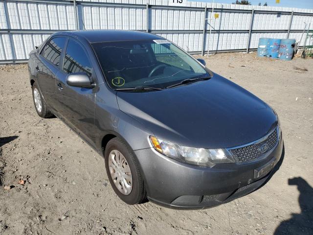 KIA FORTE EX 2013 knafu4a28d5739256