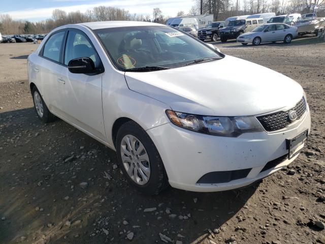 KIA FORTE EX 2013 knafu4a28d5740729