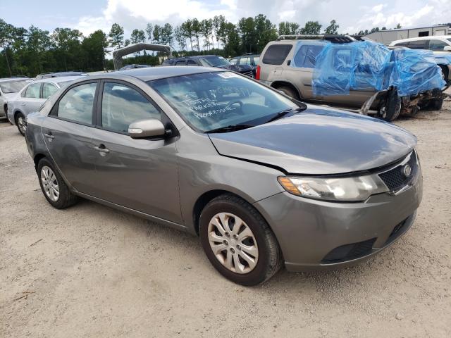 KIA FORTE EX 2010 knafu4a29a5047860