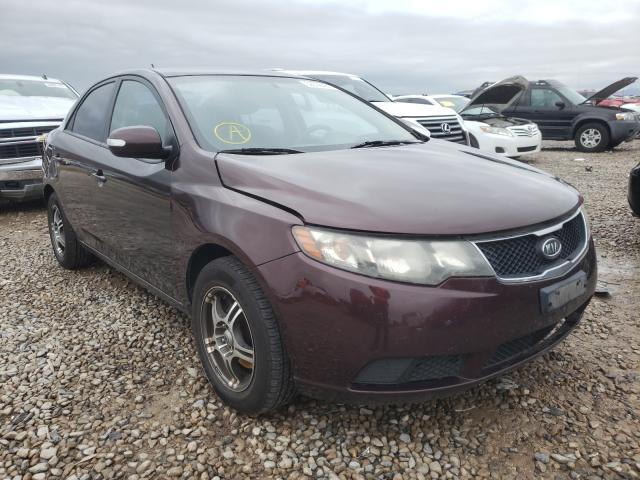 KIA FORTE EX 2010 knafu4a29a5054761