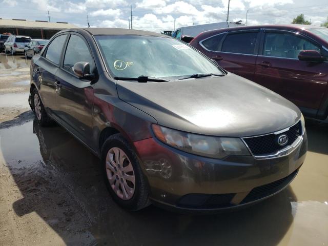 KIA FORTE EX 2010 knafu4a29a5058048