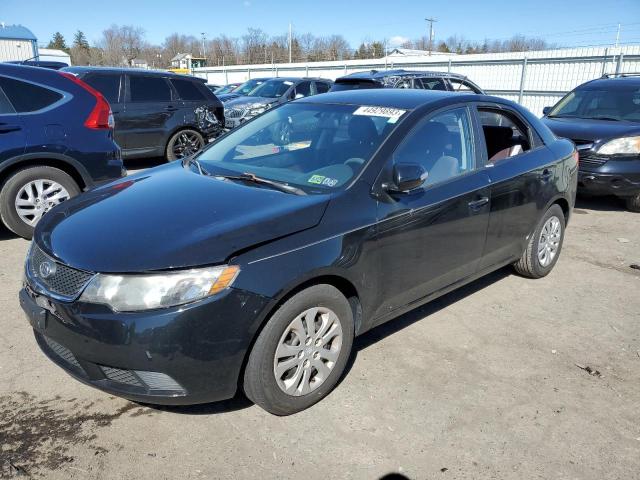 KIA FORTE EX 2010 knafu4a29a5064528