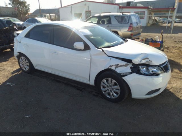 KIA FORTE 2010 knafu4a29a5067591