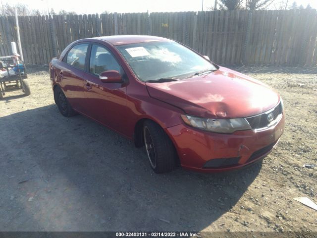 KIA FORTE 2010 knafu4a29a5081992