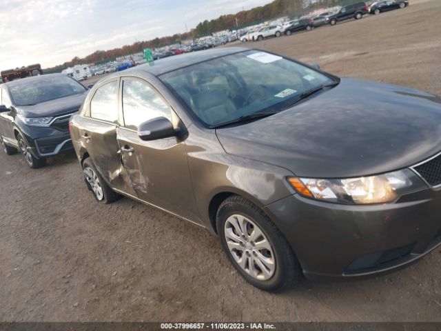 KIA FORTE 2010 knafu4a29a5095648