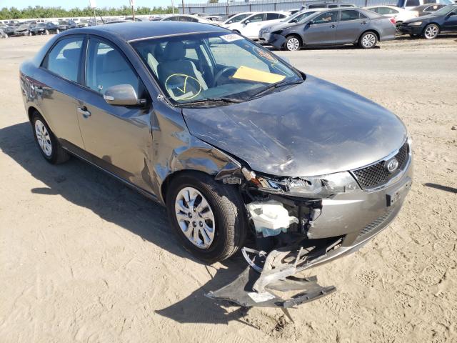 KIA FORTE EX 2010 knafu4a29a5098842