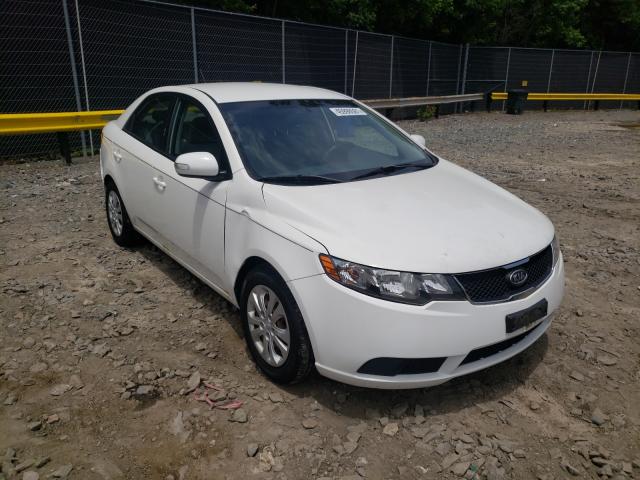 KIA FORTE EX 2010 knafu4a29a5099165