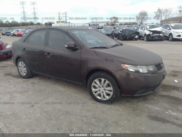 KIA FORTE 2010 knafu4a29a5103120