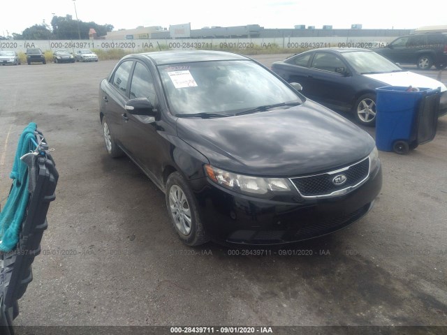 KIA FORTE 2010 knafu4a29a5104686