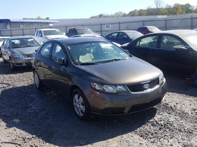 KIA FORTE EX 2010 knafu4a29a5106132