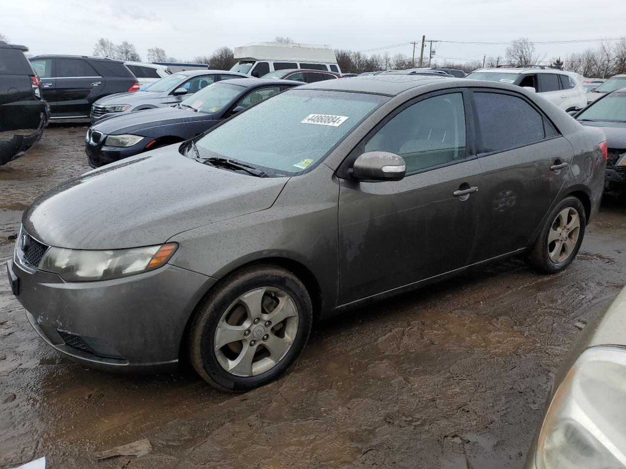 KIA FORTE 2010 knafu4a29a5109323