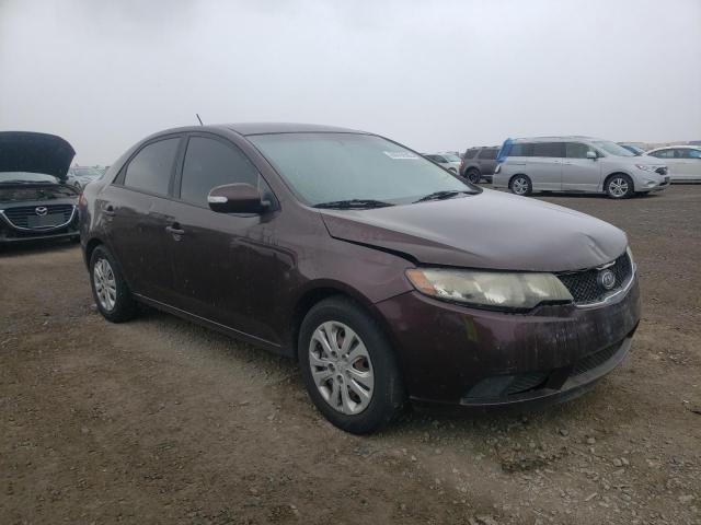 KIA FORTE EX 2010 knafu4a29a5110181