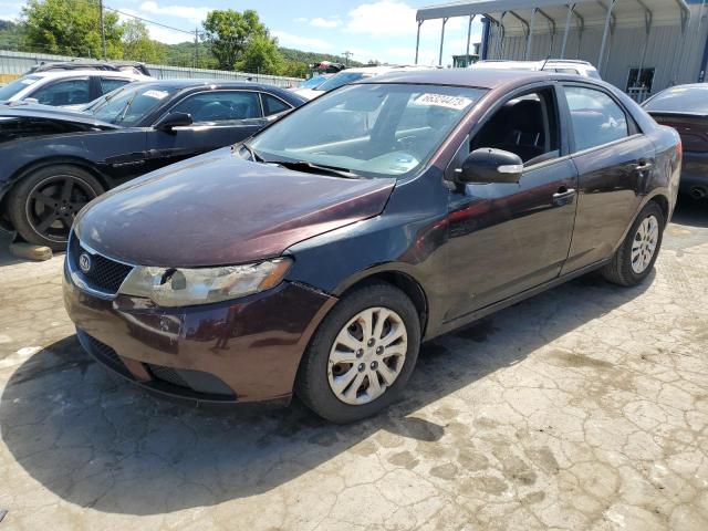 KIA FORTE EX 2010 knafu4a29a5116787