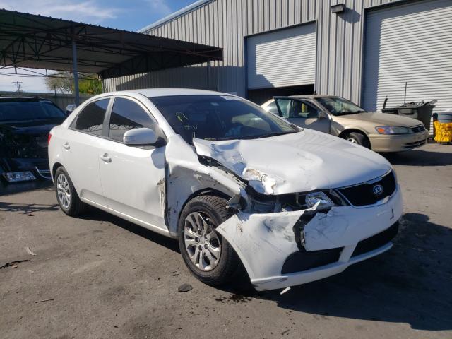 KIA FORTE EX 2010 knafu4a29a5118118