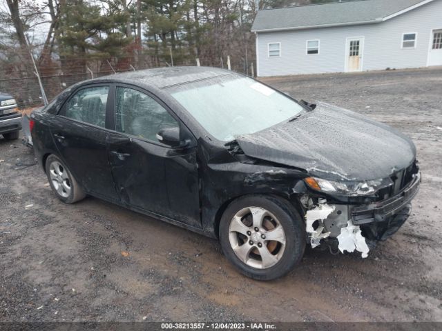 KIA FORTE 2010 knafu4a29a5118961