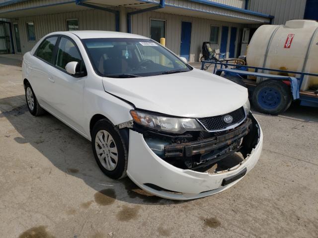 KIA FORTE EX 2010 knafu4a29a5123724