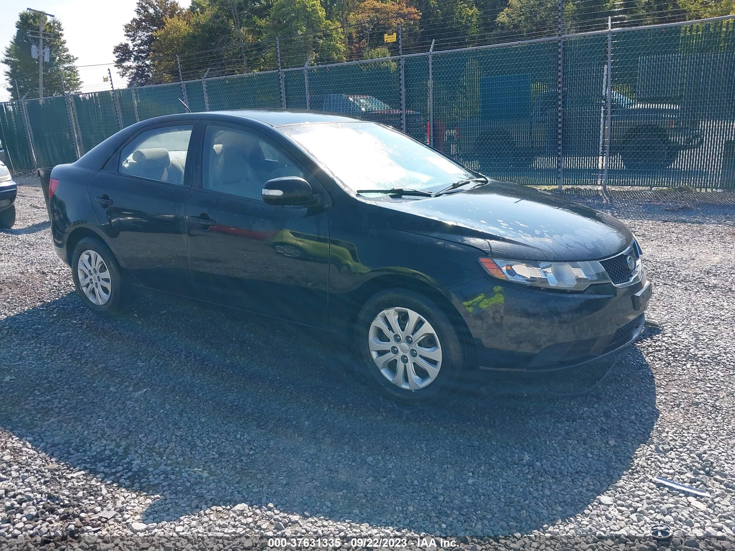 KIA FORTE 2010 knafu4a29a5124341