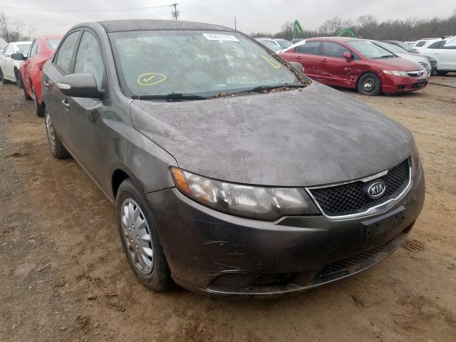 KIA FORTE EX 2010 knafu4a29a5131225