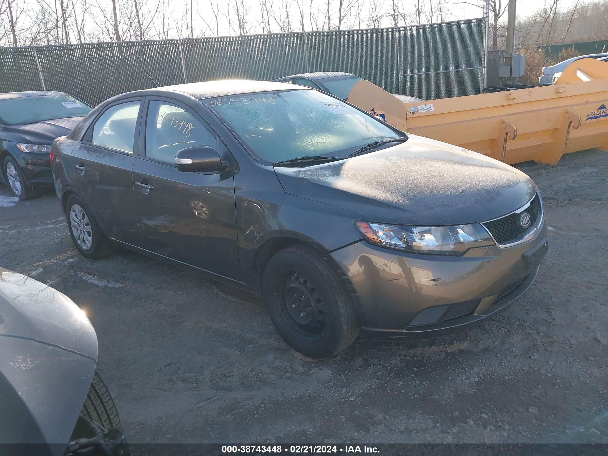 KIA FORTE 2010 knafu4a29a5141608