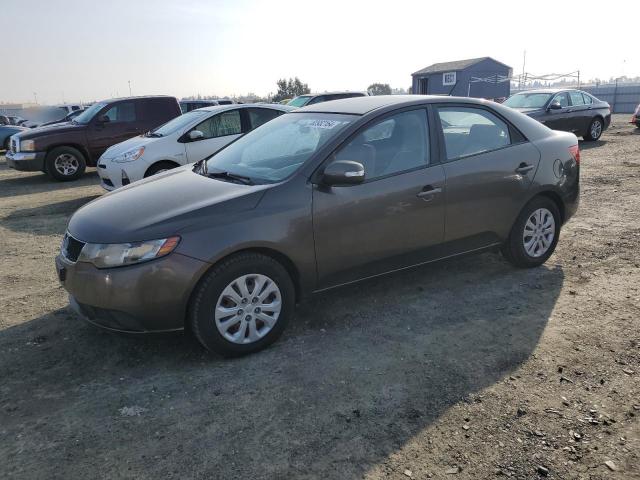 KIA FORTE EX 2010 knafu4a29a5144394