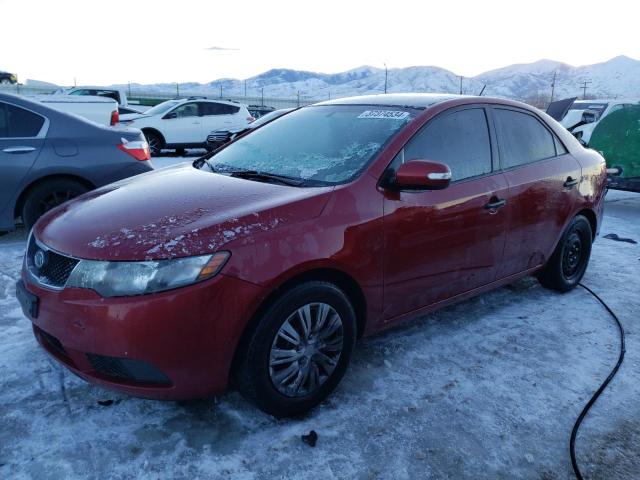 KIA FORTE 2010 knafu4a29a5144699