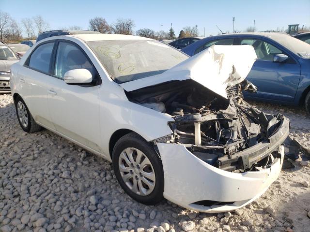 KIA FORTE EX 2010 knafu4a29a5159137