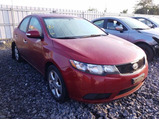 KIA FORTE EX 2010 knafu4a29a5161549