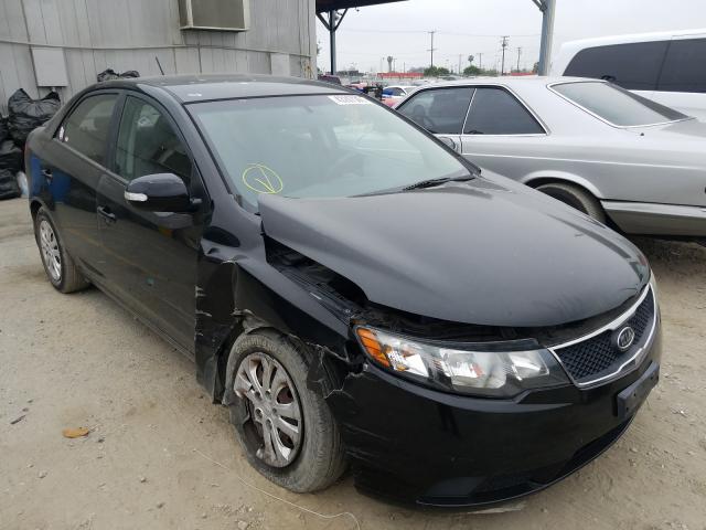 KIA FORTE EX 2010 knafu4a29a5164614