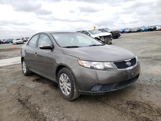 KIA FORTE EX 2010 knafu4a29a5165388