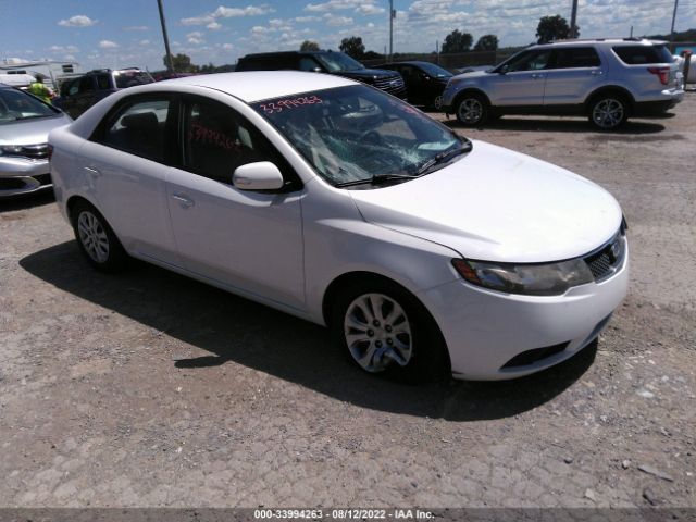 KIA FORTE 2010 knafu4a29a5169800