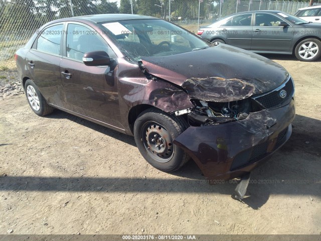 KIA FORTE 2010 knafu4a29a5173247