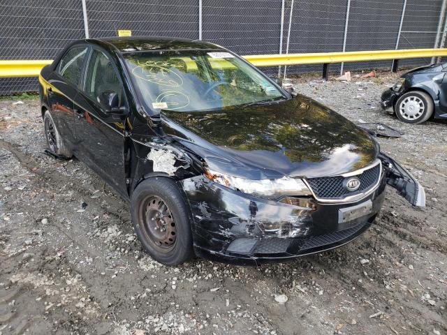 KIA FORTE EX 2010 knafu4a29a5175497