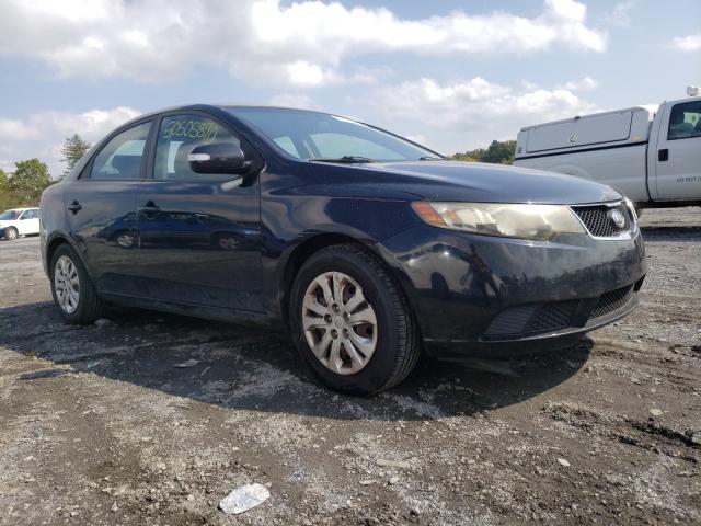 KIA FORTE EX 2010 knafu4a29a5181641