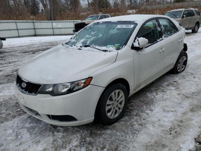 KIA FORTE EX 2010 knafu4a29a5185706