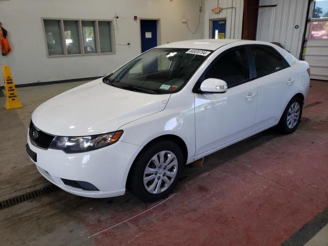 KIA FORTE EX 2010 knafu4a29a5186435