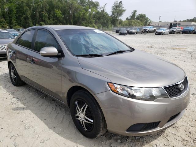 KIA FORTE EX 2010 knafu4a29a5191599