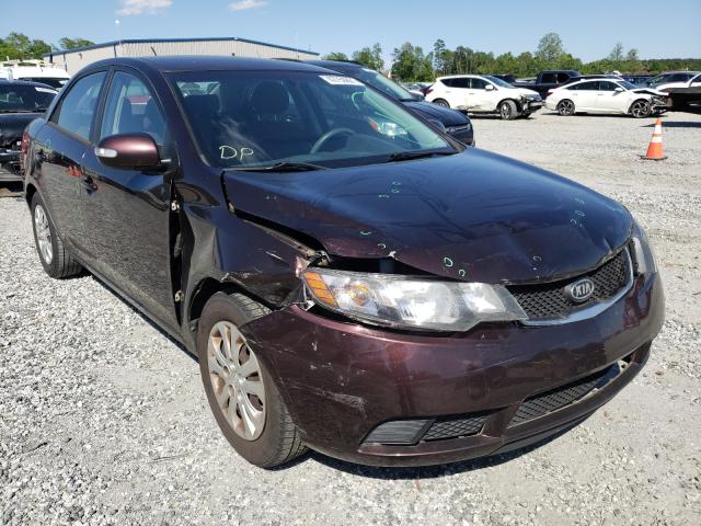 KIA FORTE EX 2010 knafu4a29a5199413