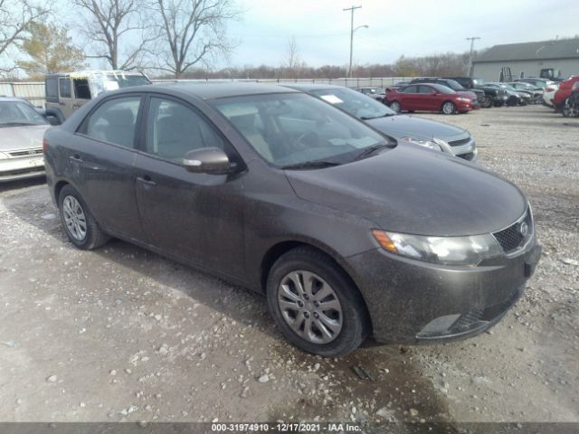 KIA FORTE 2010 knafu4a29a5204478