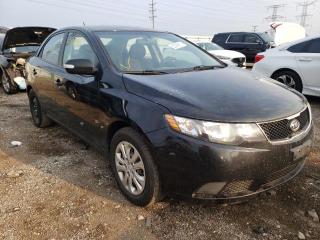 KIA FORTE EX 2010 knafu4a29a5204917