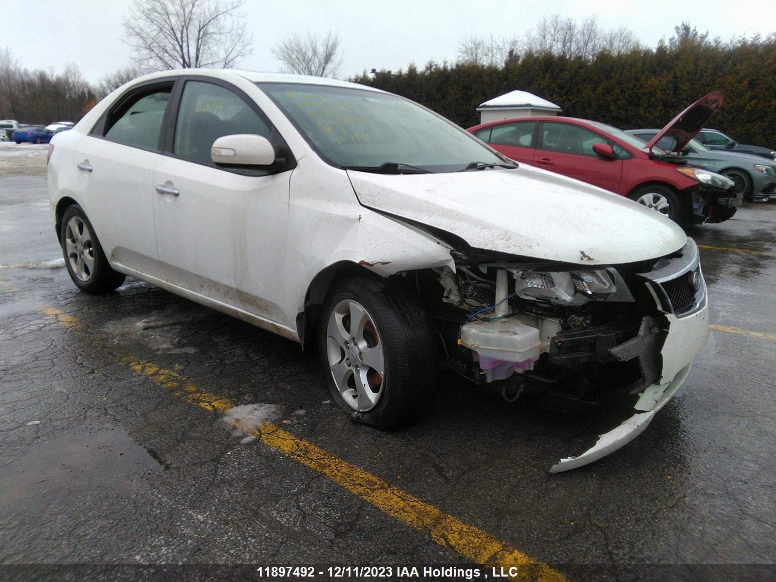 KIA FORTE 2010 knafu4a29a5210555