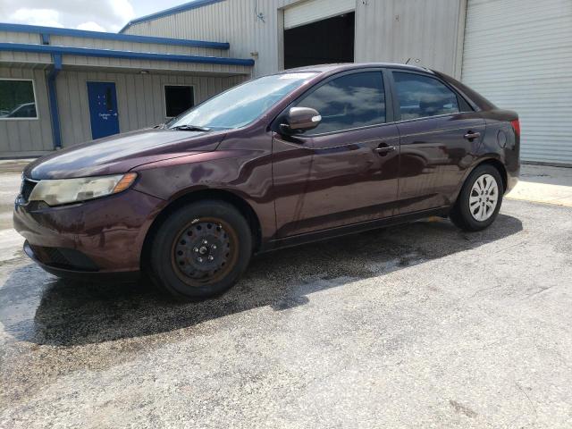 KIA FORTE EX 2010 knafu4a29a5221054