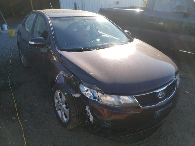 KIA FORTE EX 2010 knafu4a29a5221751