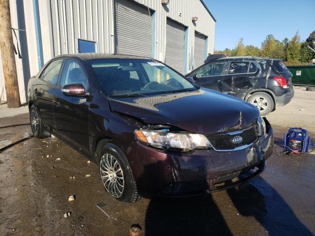 KIA FORTE EX 2010 knafu4a29a5225802