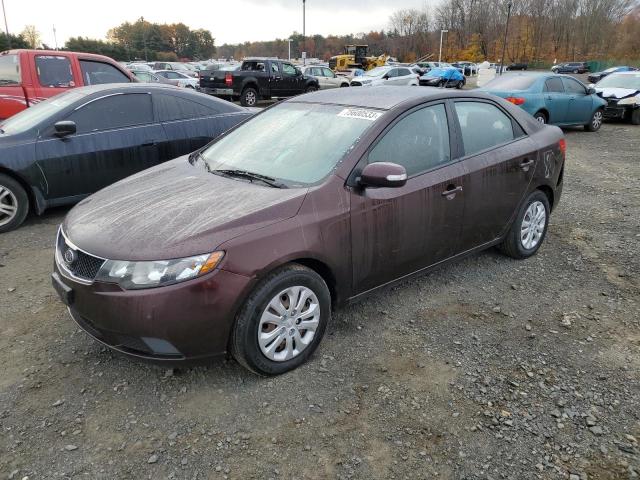 KIA FORTE 2010 knafu4a29a5231258