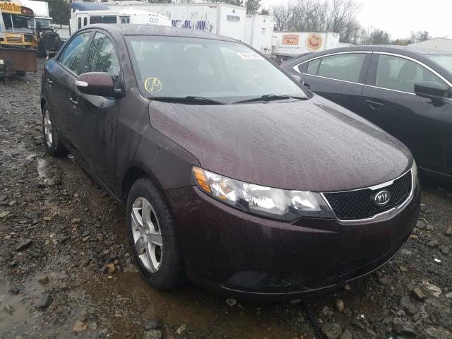 KIA FORTE EX 2010 knafu4a29a5232894