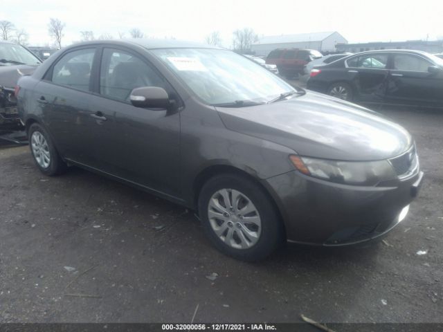 KIA FORTE 2010 knafu4a29a5236055