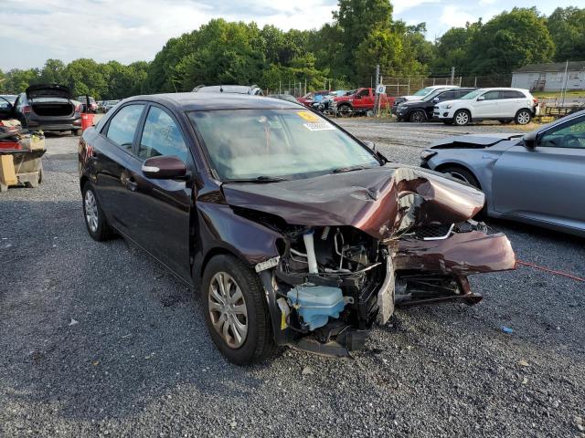 KIA FORTE EX 2010 knafu4a29a5237691