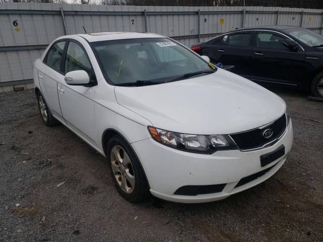 KIA FORTE EX 2010 knafu4a29a5240106